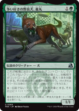 争い好きの野良犬、義丸